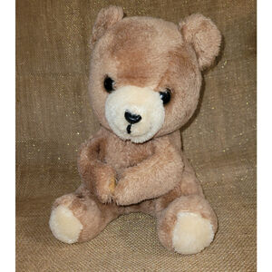 Vintage Dakin Brown Teddy Bear Stuffed Animal Hook Arms Nature Babies Plush 1977
